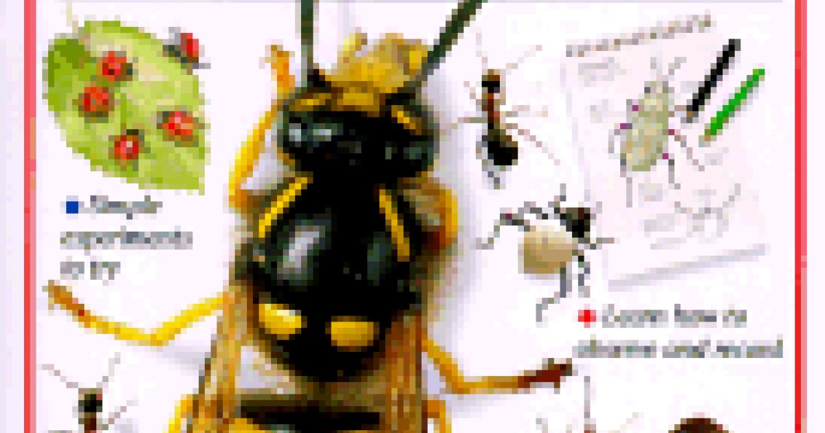 Elizabeth Rutt Insects Insects | American Farm Bureau Foundation for Agriculture