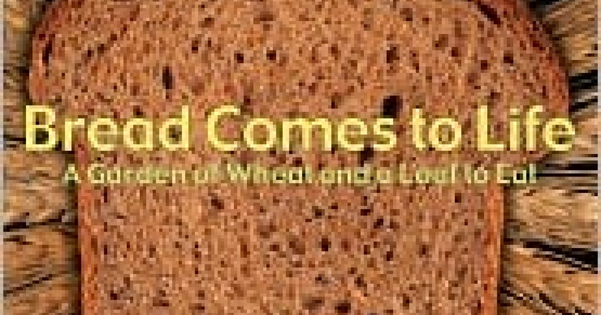 Bread Comes to Life | American Farm Bureau Foundation for Agriculture