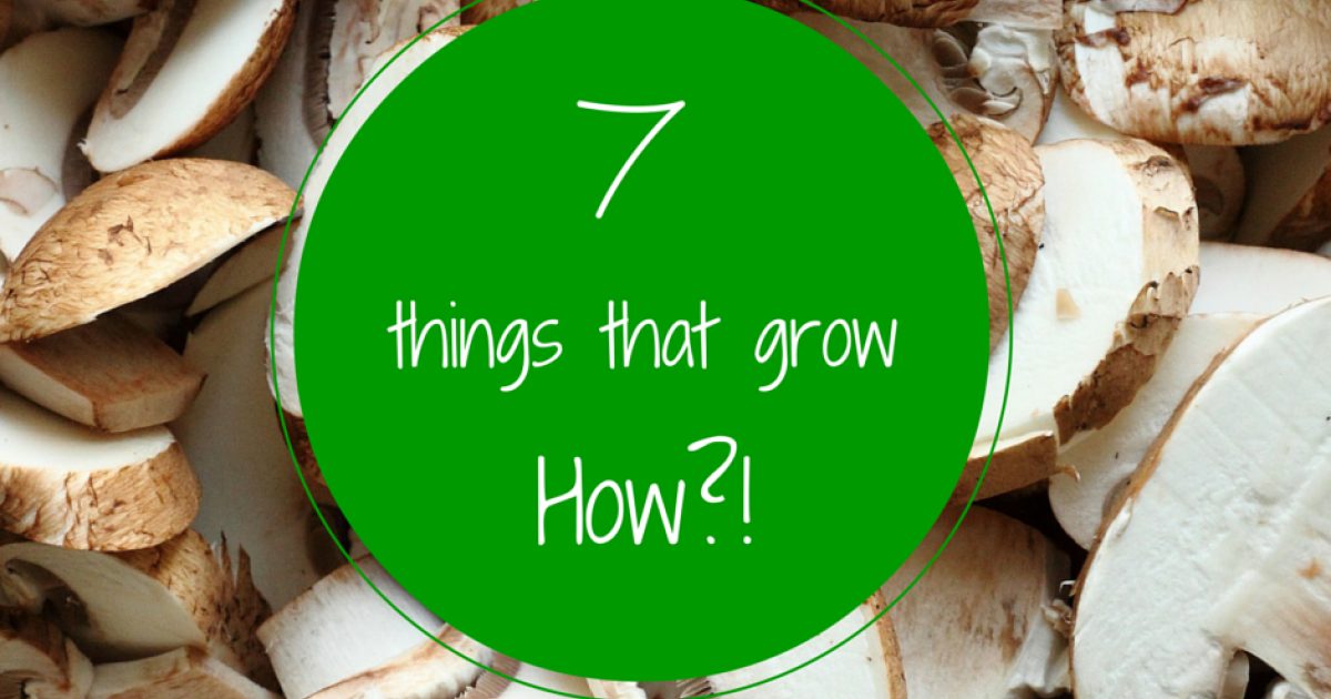 7 Things that Grow – HOW? | American Farm Bureau Foundation for Agriculture