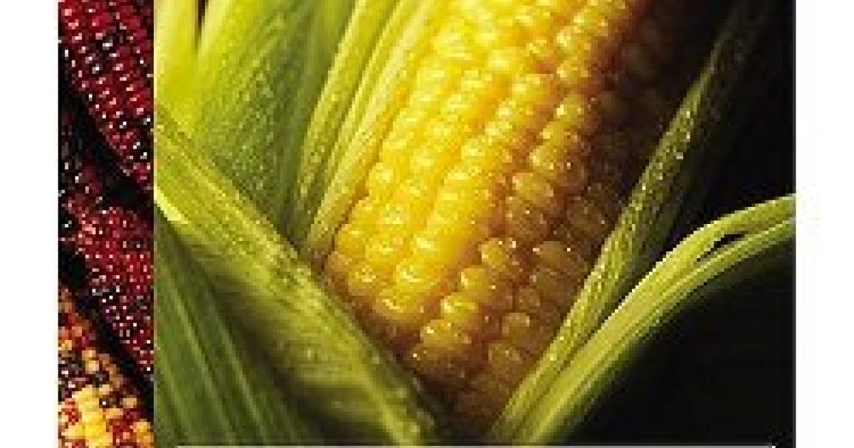 The Story of Corn | American Farm Bureau Foundation for Agriculture