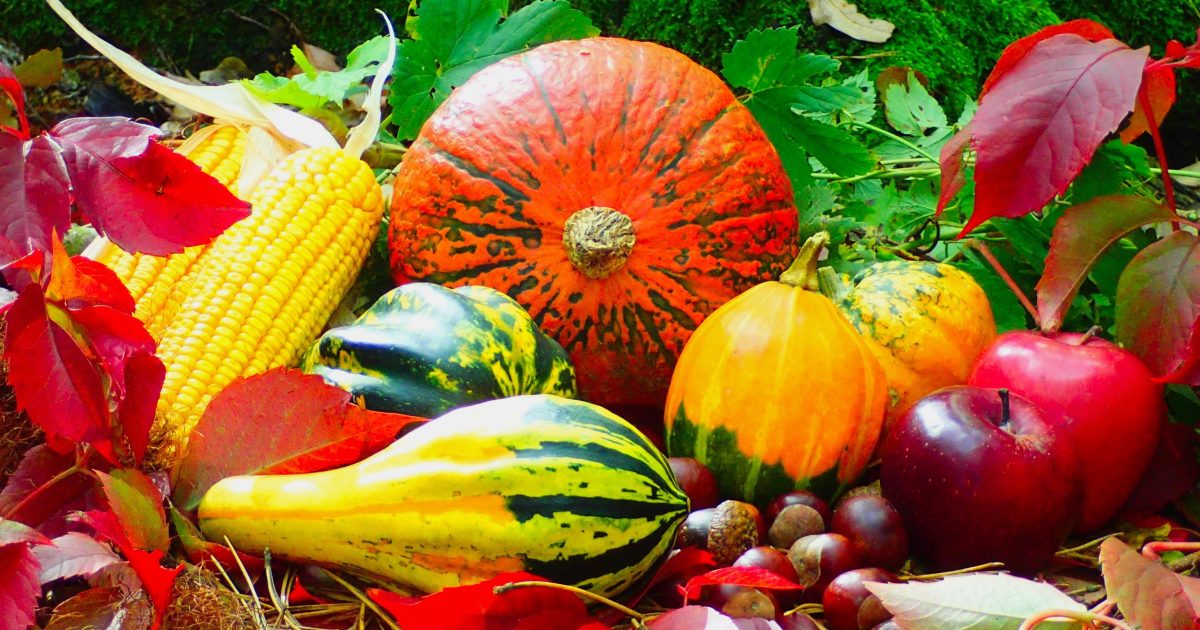 Bringing Agriculture in the Classroom- Fall Foods
