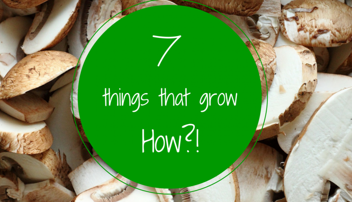 7 things that grow how 1
