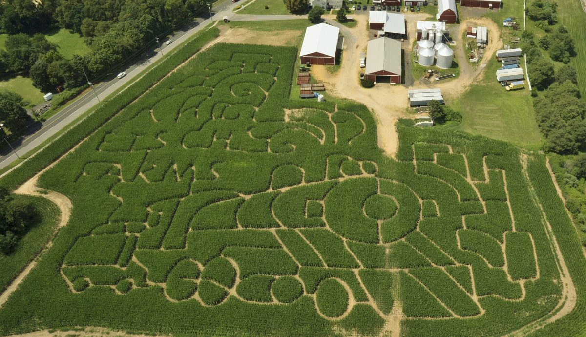 Aerial Rutgers maze
