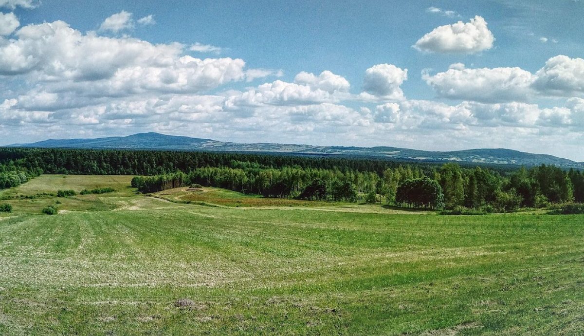American Farm Trail Blog Header Image