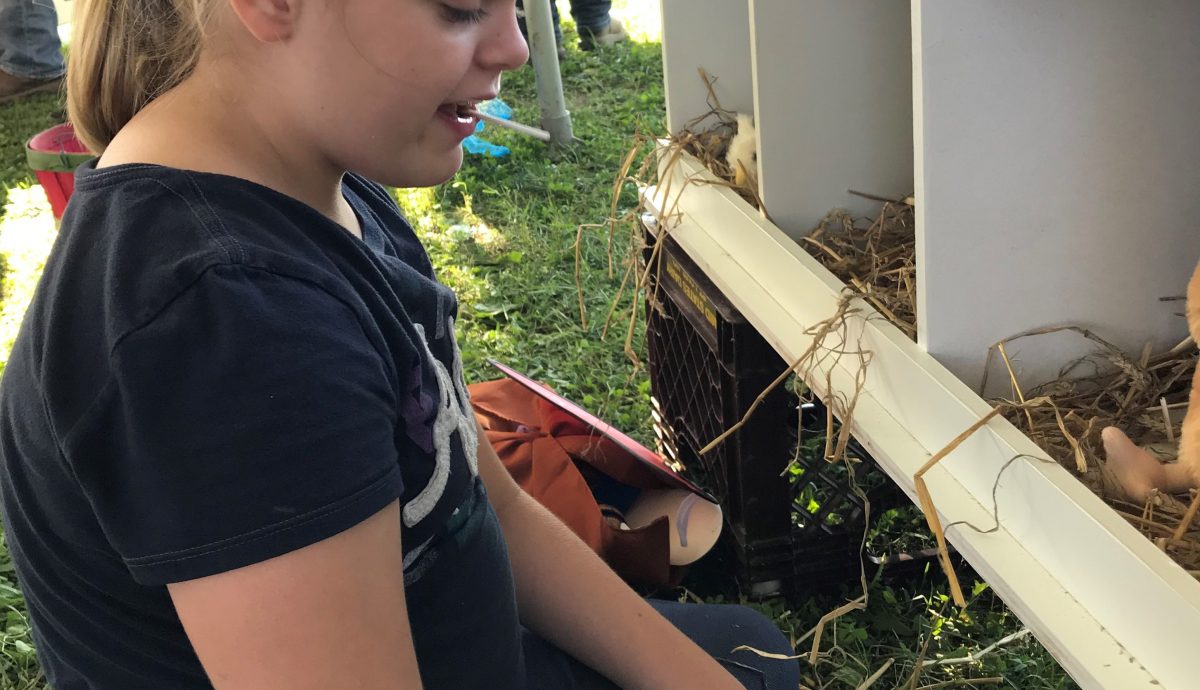 Gathering Eggs