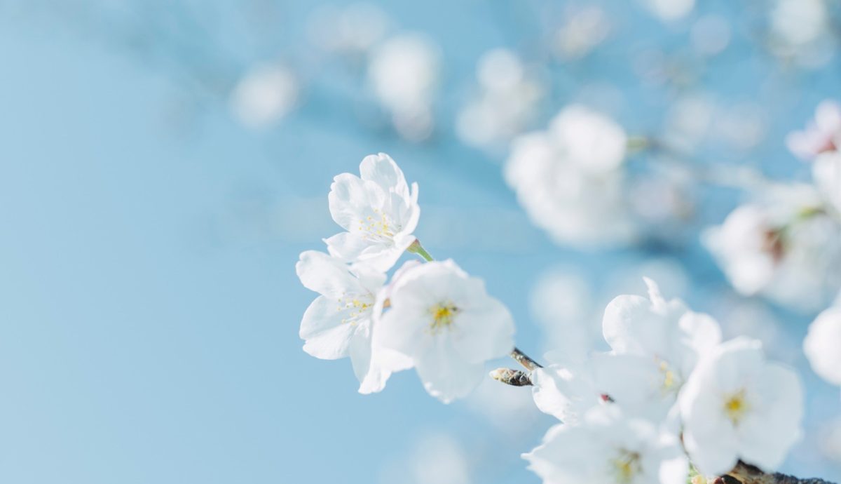 Spring Blog Post
