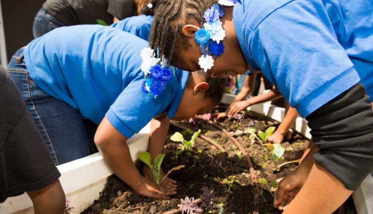 USDA school garden