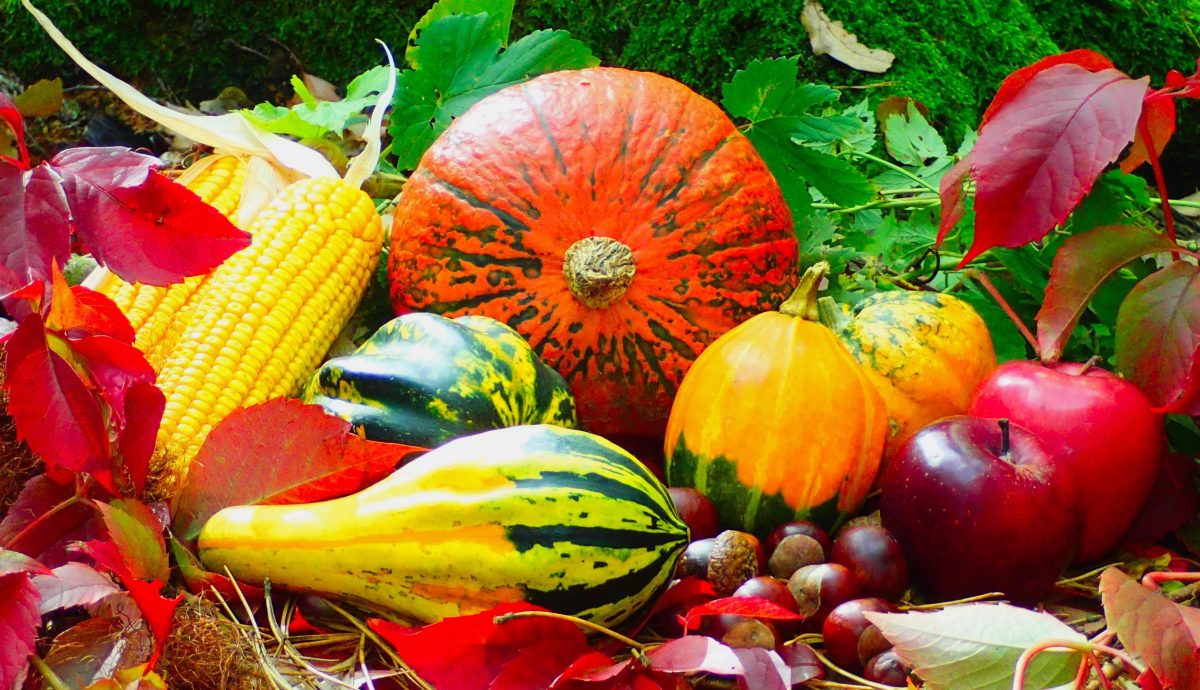Anonymoustraveller autumn 2851907