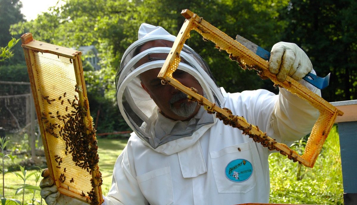 Beekeeper image