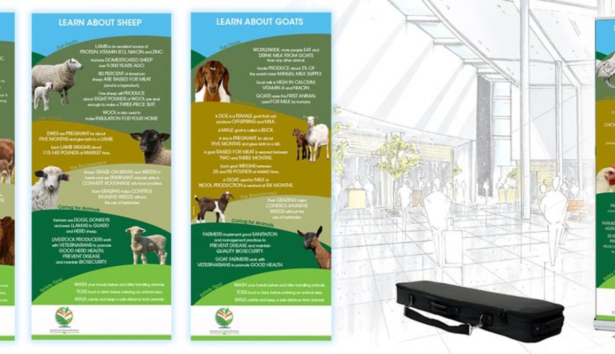 Livestock banners feature image