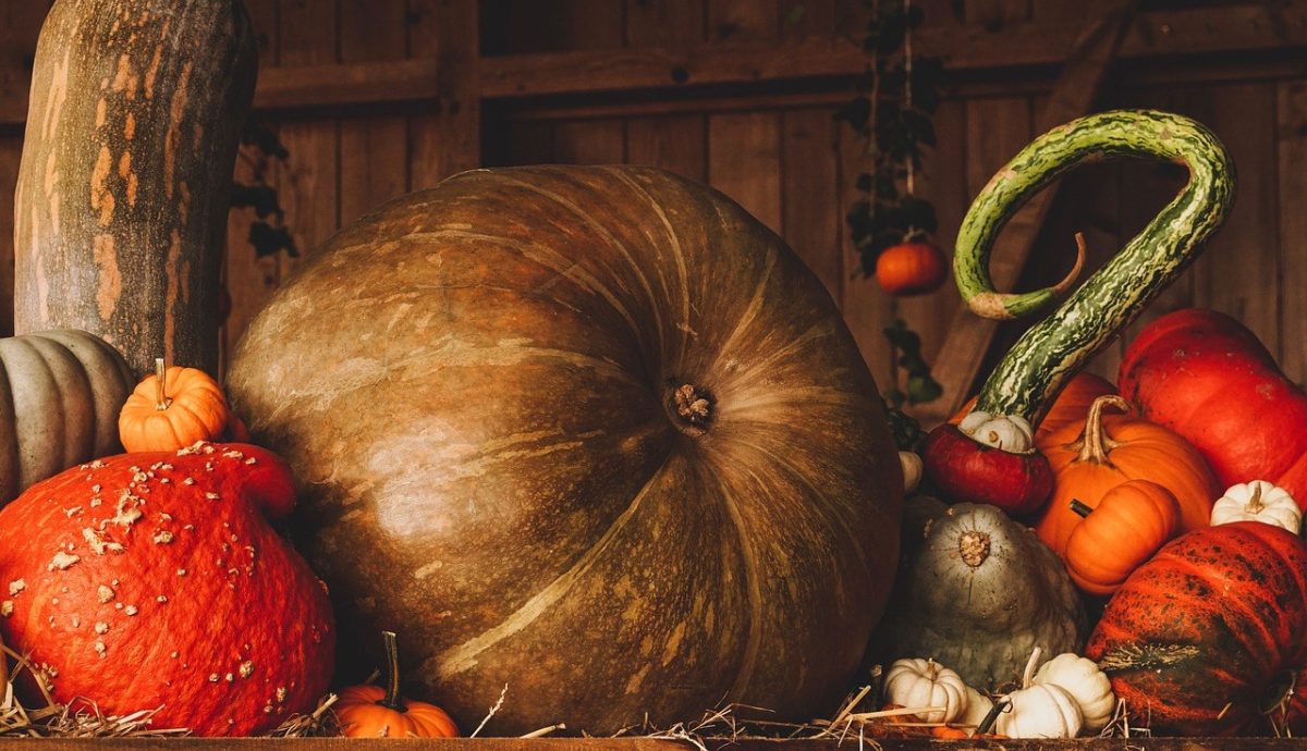 Pumpkin 3698130 1280