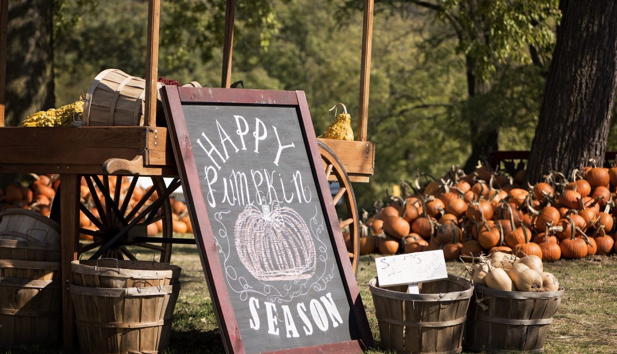 Pumpkin patch g1c2428b95 1920