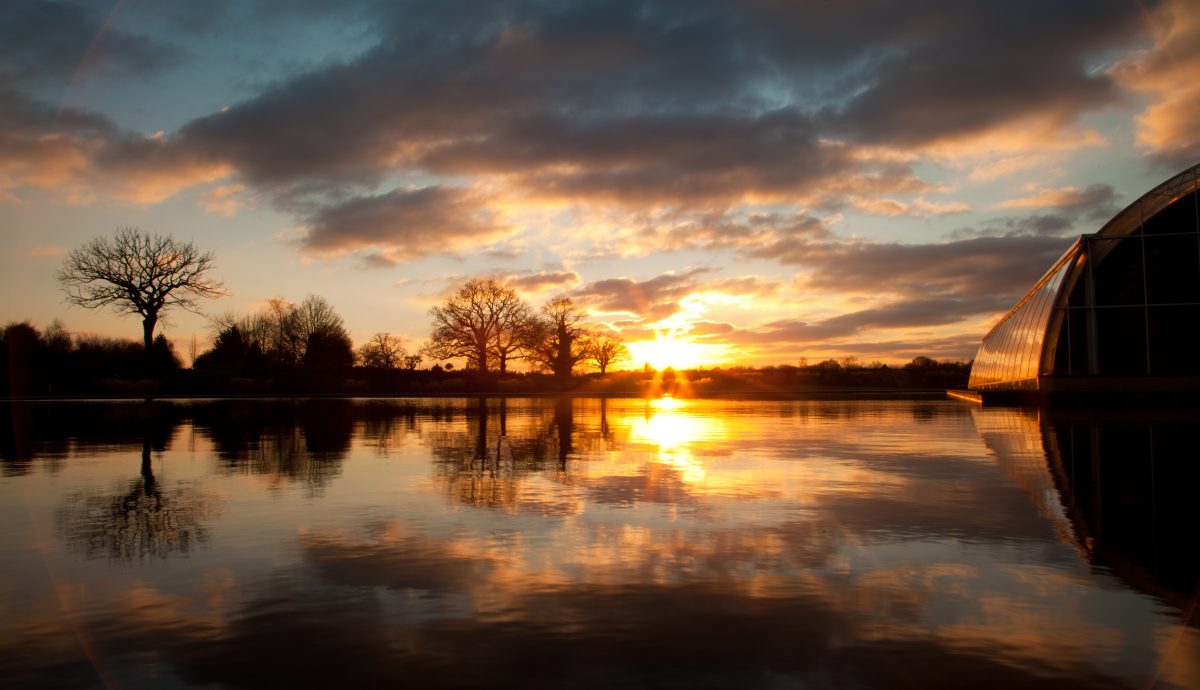 Winter sunset